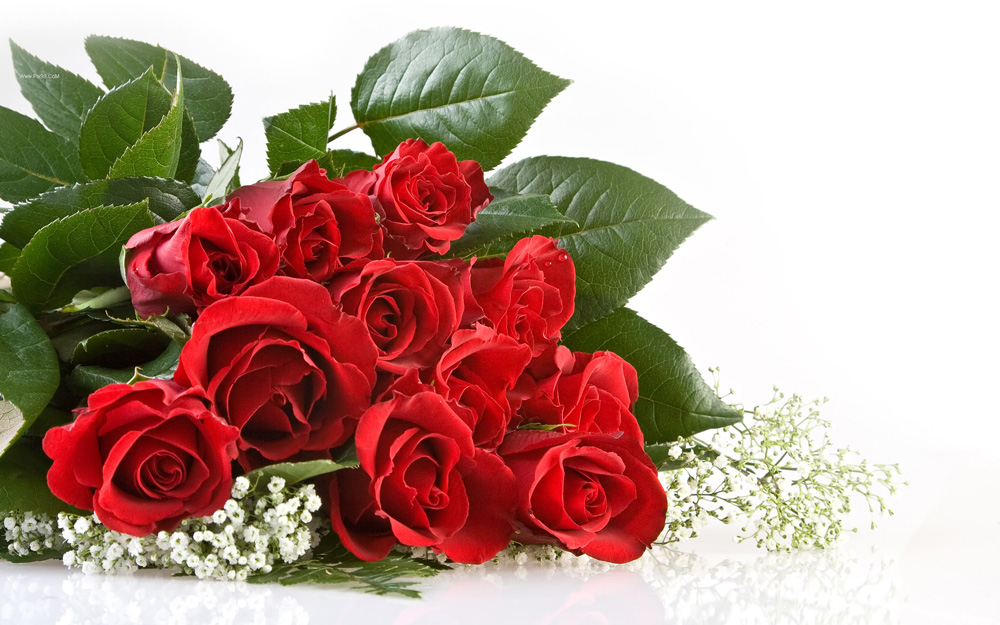 گروه 1