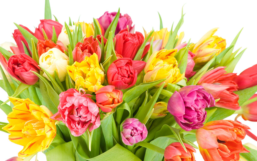 گروه 2