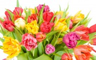 گروه 2